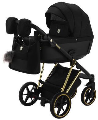 Універсальна коляска 2 в 1 Adamex Belissa Special Edidion (Gold) PS-569 чорний - чорна шкіра (перфорація)