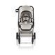 Прогулочная коляска Britax Romer Rio Soft Taupe Lux Collection
