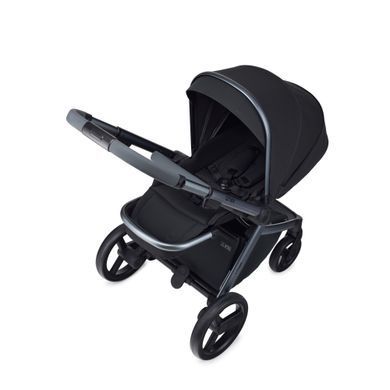 Універсальна коляска 2 в 1 Anex L/Type Onyx