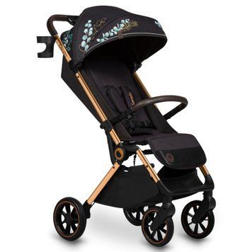 Прогулянкова коляска Lionelo Cloe Golden Moments