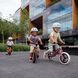 Двоколісний дитячий біговел Lionelo Bart Purple Amethyst новинка 2024