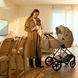 Электрический молокоотсос Kinderkraft MamaFlow Gold (KEMAFL00GLD0000) 9 уровней интенсивности, 4 уровня работы, компактные размеры