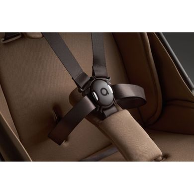 Прогулочная коляска Anex Ride Warmly большие колеса с амортизацией, телескопическая родительская ручка, горизонтальное положение спинки