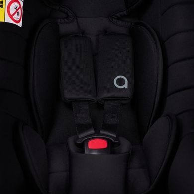 Коляска універсальна 2 в 1 + баггі Anex IQ Basic Loft [NT нова трансформація] + автокрісло Anex Cosmo у подарунок
