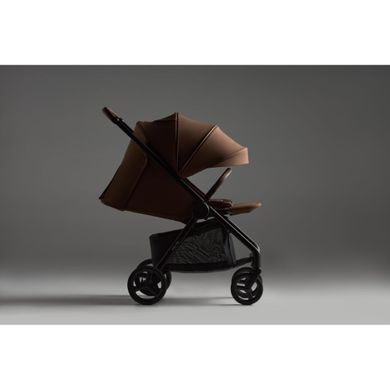 Прогулочная коляска Anex Ride Nutty большие колеса с амортизацией, телескопическая родительская ручка, горизонтальное положение спинки