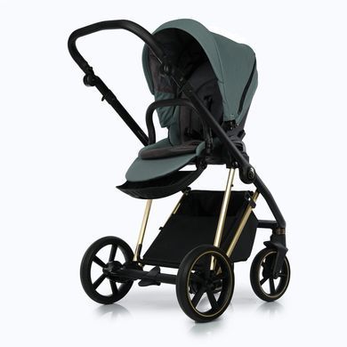 Універсальна коляска 2 в 1 Roan Ivi Pine Green Gold 2.0