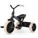Триколісний дитячий велосипед Qplay Elite Pro Black