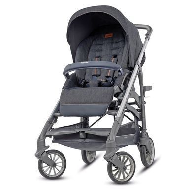 Универсальная коляска 4 в 1 Inglesina Trilogy Village denim