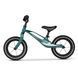 Двухколесный детский биговел Lionelo Bart Air Forest Green