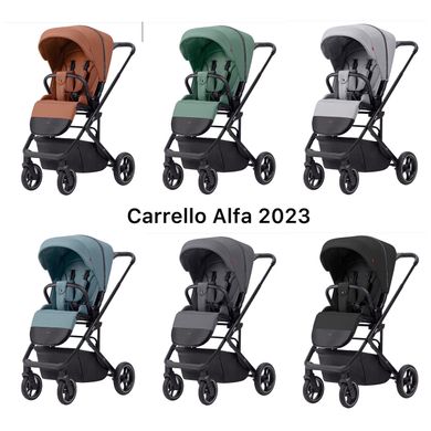 Прогулянкова коляска CARRELLO Alfa CRL-5508 Graphite Grey (новинка 2023)
