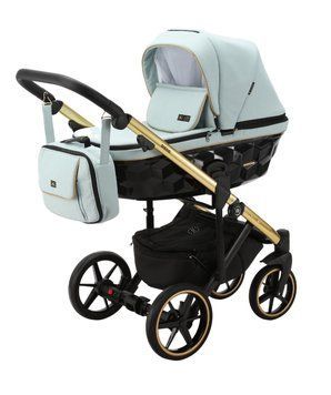 Універсальна коляска 2 в 1 Adamex Diego TK-600 (м'ятна тканина, золота рама)