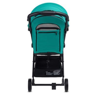 Прогулянкова коляска Anex Air-X Green