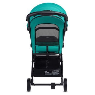 Прогулянкова коляска Anex Air-X Green