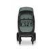 Прогулянкова коляска EasyGo Quantum Agava