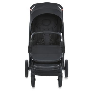 Універсальна коляска 2в1 El Camino Persona ME 1091-B Black