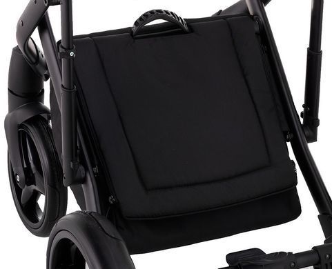 Коляска 2 в 1 Adamex Chantal C213