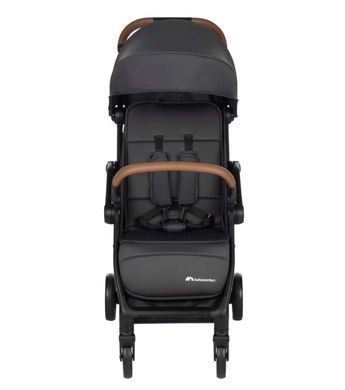 Прогулочная коляска Bebe Confort Sunlite Tinted Gray