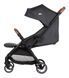 Прогулочная коляска Bebe Confort Sunlite Tinted Gray