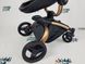 Універсальна коляска 2в1 Aulon/Agape (Ligero Lux) Чорна на золотій рамі