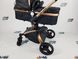 Універсальна коляска 2в1 Aulon/Agape (Ligero Lux) Чорна на золотій рамі