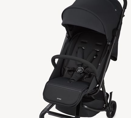 Універсальна вкладка в коляску Anex Seatliner