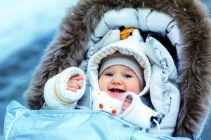 ТОП-5 колясок на зиму