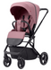 Универсальная коляска 2 в 1 Carrello Alfa CRL-6507 Rouge Pink