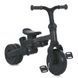 Триколісний дитячий велосипед TURBOTRIKE MT 1036 brown