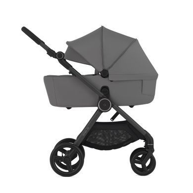 Коляска універсальна 2 в 1 + баггі Anex IQ Basic Luna [NT нова трансформація]