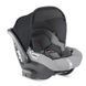 Универсальная коляска 4 в 1 Inglesina Aptica XT (Darwin) Horizon Grey
