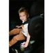 Автокрісло Kidwell Weston I-Size ISOFIX black