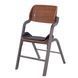 Стілець для годування та шезлонг 2 в 1 CARRELLO Combi CRL-9505 Coffee Black