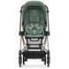 Універсальна коляска 2 в 1 Cybex Mios 4.0 2024 Leaf Green шасі Rosegold