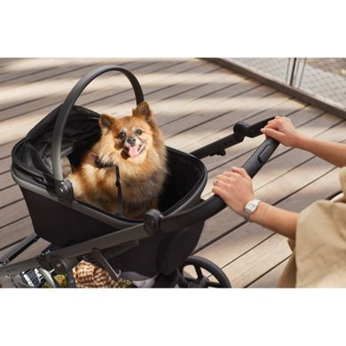 Люлька для тварин Anex Modu Pet Carrycot Black додатковий блок до коляски Anex Modu