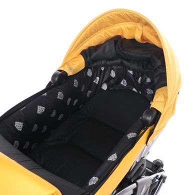 Коляска 2 в 1 Junama Saphire Eco 05