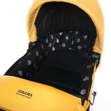 Коляска 2 в 1 Junama Saphire Eco 05