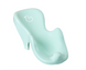 Горка детская для купания антискользящая Tega Baby DUCK light green