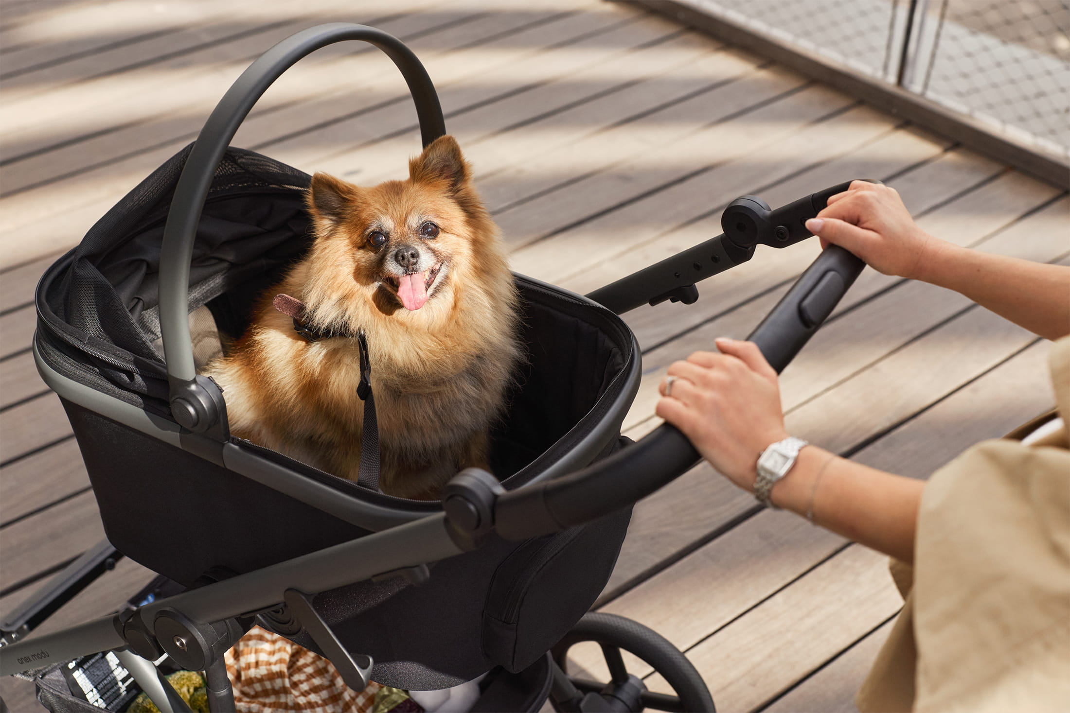 Люлька для тварин Anex Modu Pet Carrycot додатковий блок до коляски Anex Modu новинка 2026 року